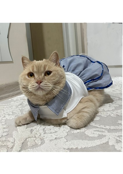 Denizci Mavi Yakalı Kurdeleli Dişi Kedi Köpek Kıyafeti Elbisesi Xlarge/xl/beden 4