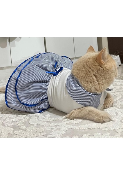 Denizci Mavi Yakalı Kurdeleli Dişi Kedi Köpek Kıyafeti Elbisesi Xlarge/xl/beden 4 modelleri