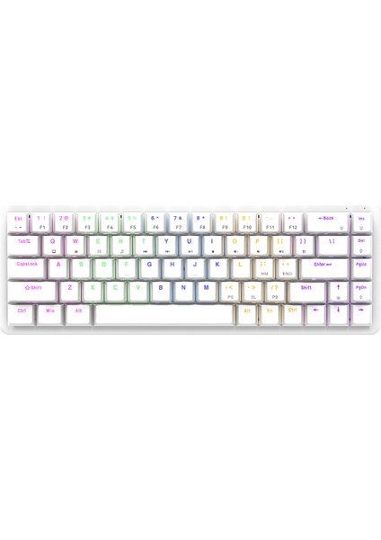 Rebel Beyaz Low Profile Blue Switch Us Layout Rainbow Mekanik Gaming Oyuncu Klavye