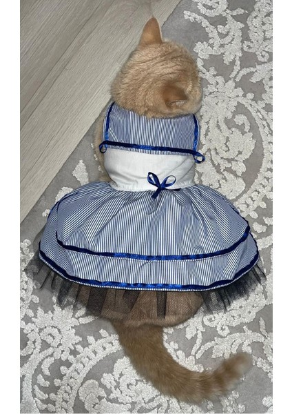 Denizci Mavi Kurdeleli Dişi Kedi Köpek Kıyafeti Elbisesi Xlarge/xl/beden 4 modelleri