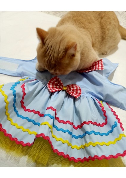 Rengarenk Festival Temalı Renkli Papyonlu Tüllü Kedi Köpek Kıyafeti Elbisesi Xsmall/xs/beden 0 indirimleri