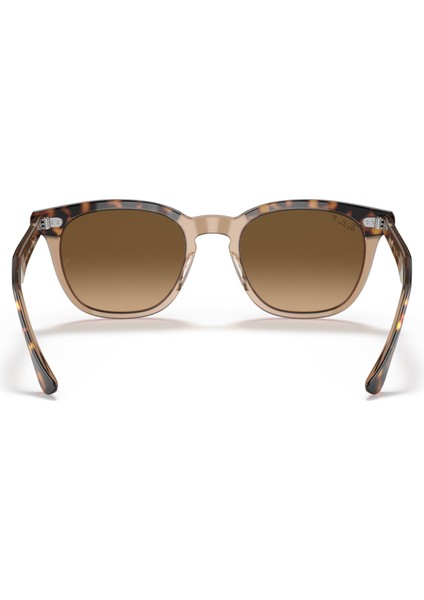 2298 1292M2 52 Kadın Güneş Gözlüğü modelleri