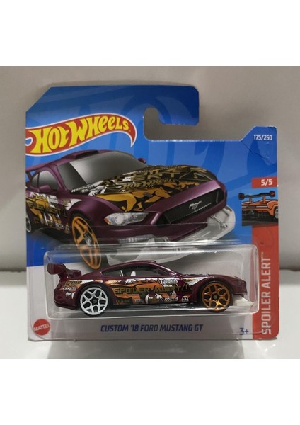 Custom ‘18 Ford Mustang Gt