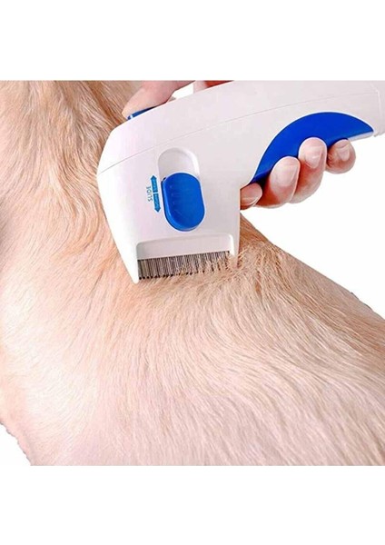 Kedi Köpek Pire Temizleyici Pire Tarağı modelleri