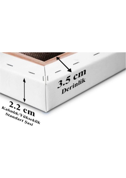 Tuval 35x50 Cm ( 5 Adet ) %100 Pamu fiyatları