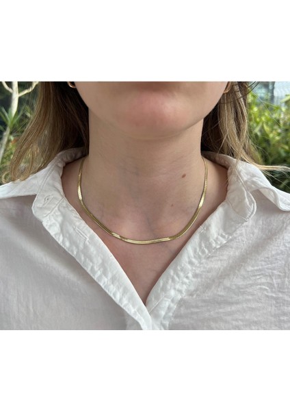 Anor Accessorıes Altın Kaplama Kararmaz Çelik Italyan Yassı Kolye fiyatları