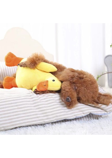 Pet Koki Uyuyan Pillow Soundmaking Oyunu (Yurt Dışından)