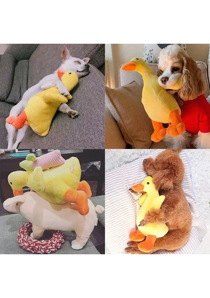 Pet Koki Uyuyan Pillow Soundmaking Oyunu (Yurt Dışından) modelleri