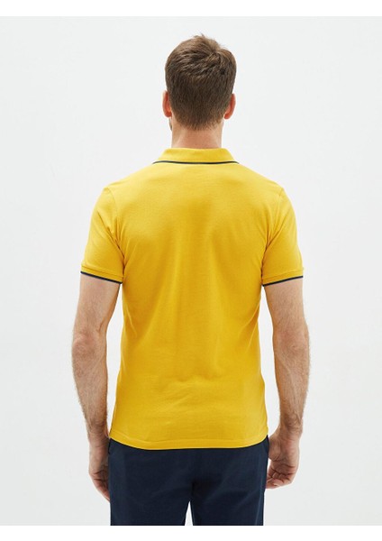 Basic Polo Yaka Kısa Kollu Pike Erkek Tişört indirimleri