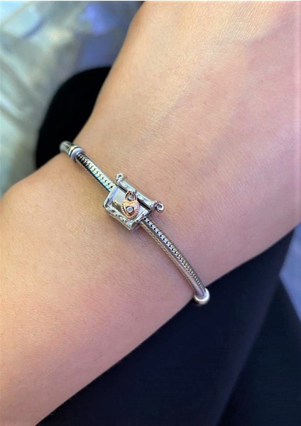 Kadın Sandık Model Gümüş Charm fiyatları