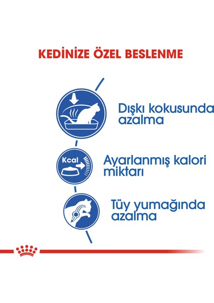Indoor Yetişkin Kedi Maması - 2 kg