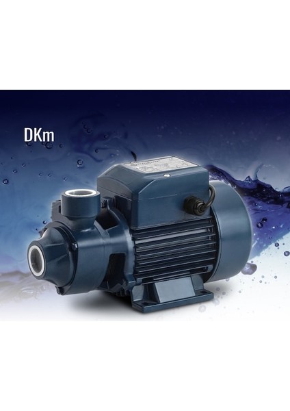 Dayuan 0.55 HP-220V-Preferıkal Santrifüj Su Pompası-Bakır Sargı-Fan ve Yatak Bronz