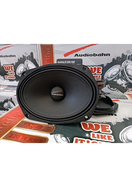 AU69 220 Rms Oval Midrange Takımı