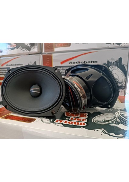 AU69 220 Rms Oval Midrange Takımı