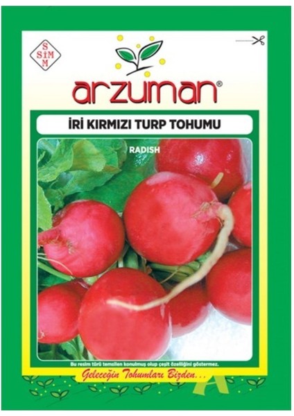 Iri Kırmızı Sebze Turp Tohumu