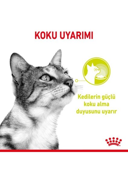 Royal Canin Sensory Smell Gravy 85 GRX12 Adet Kedi Konservesi