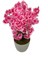 Yapay Bahar Dalı Ağacı Pembe 70 cm 1