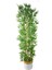 Yapay Bambu Ağacı 185 cm Beyaz Gold Metal Saksı 1