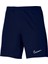 Dri-FIT Academy23 Short K Erkek Şortu 1