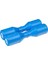 SH4GBLIVE Version Glacier Blue Double Shaker 1