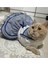 Denizci Mavi Kurdeleli Dişi Kedi Köpek Kıyafeti Elbisesi Xlarge/xl/beden 4 1