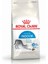 Indoor Yetişkin Kedi Maması - 2 kg 1