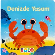 Denizde Yaşam (Hareketli Kitap & Kaydır Gör)