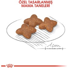 Royal Canin Mini Adult Köpek Maması - 2 kg