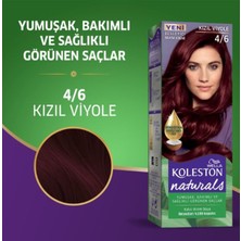 Naturals Saç Boyası Kızıl Viyole 4/6