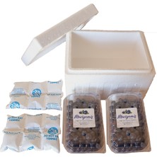 Maviyemiş Tarım Premium Blueberry Yaban Mersini 1 kg
