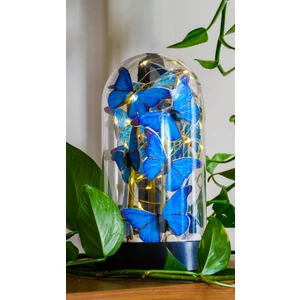 By Shopping Kelebek Fanusu Peri LED Işıklı Taş Tasarımlı Işıklı Fanus Sevdiklerinize Özel Hediyelik Kelebek