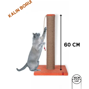 60CM Catnipli Kalın Borulu Dev Tırmalama Tahtası Minder Yüzey Turuncu