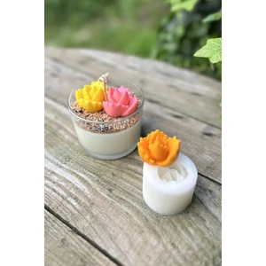 Juvenna Sukulent Mum Kalıbı ( Silikon )