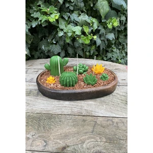 Kaktüs Set-1 Mum Kalıbı ( 5 Adet Kalıp ) ( Silikon )