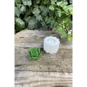 Agavoides Sukulent Mum Kalıbı ( Silikon )