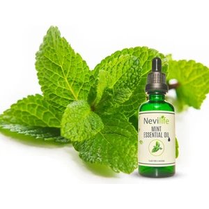Nane Yağı 50 ml