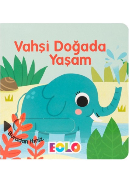 Vahşi Doğada Yaşam  (Hareketli Kitap & Kaydır Gör)