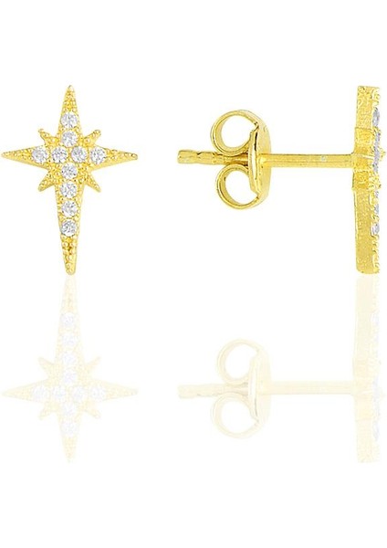Gümüş Altın Yaldızlı Zirkon Taşlı Kutup Yıldızı Küpe SGTL11482GOLD