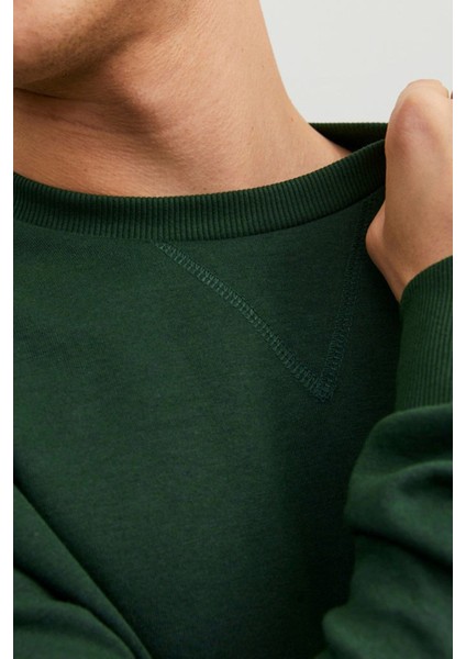 Jjebasıc Sweat Crew Neck Yeşil Erkek Sweatshirt fiyatları