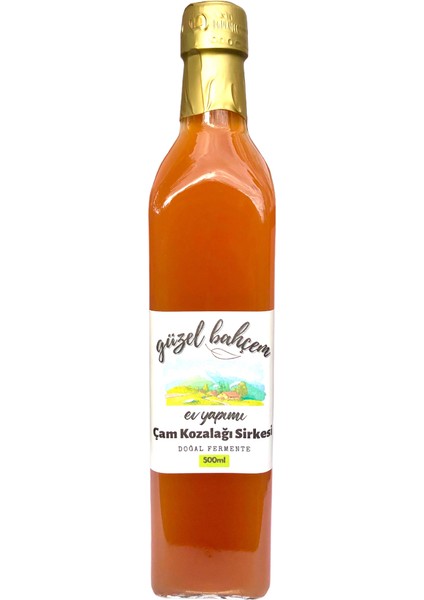 Çam Kozalağı Sirkesi 500 ml