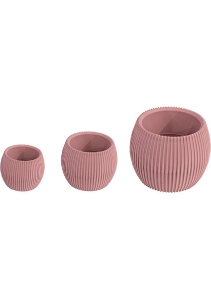 Kaktüs Saksı 3lü Set Gül Kurusu