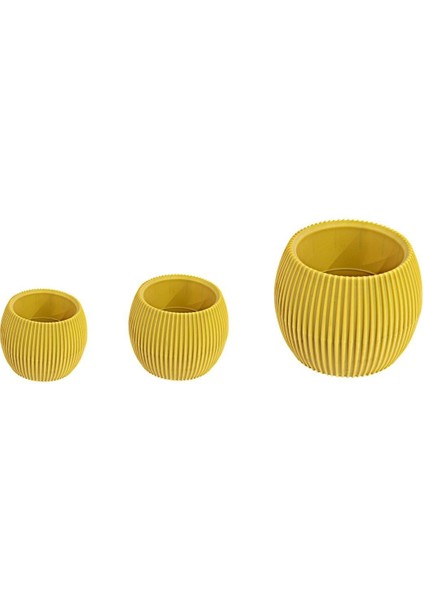Kaktüs Saksı 3lü Set Sarı