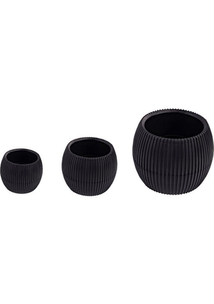 Kaktüs Saksı 3lü Set Siyah