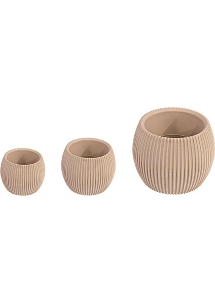 Kaktüs Saksı 3lü Set Çölbeji