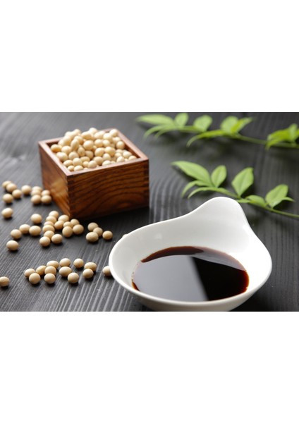 Soya Sosu 1 lt fırsatları
