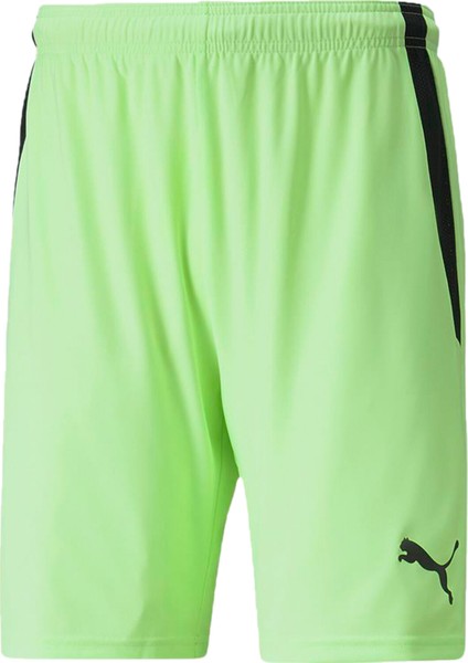 Teamliga Shorts Erkek Futbol Şortu 70492420 Yeşil