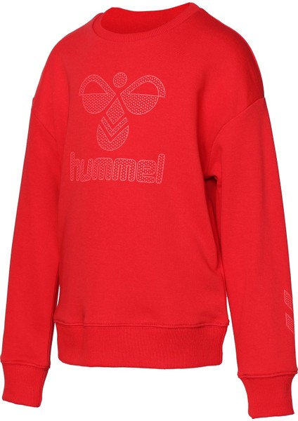 Carter Erkek Çocuk Kırmızı Bisiklet Yaka Sweatshirt