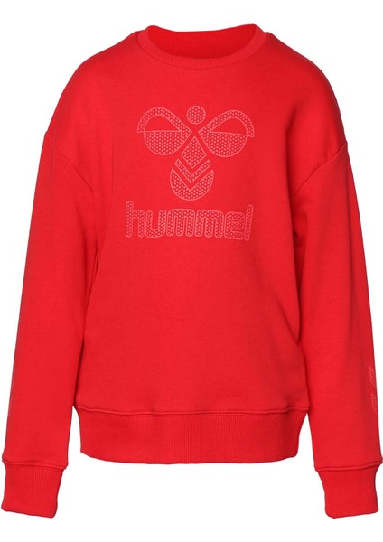 Carter Erkek Çocuk Kırmızı Bisiklet Yaka Sweatshirt fiyatları