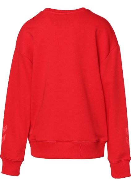 Carter Erkek Çocuk Kırmızı Bisiklet Yaka Sweatshirt modelleri