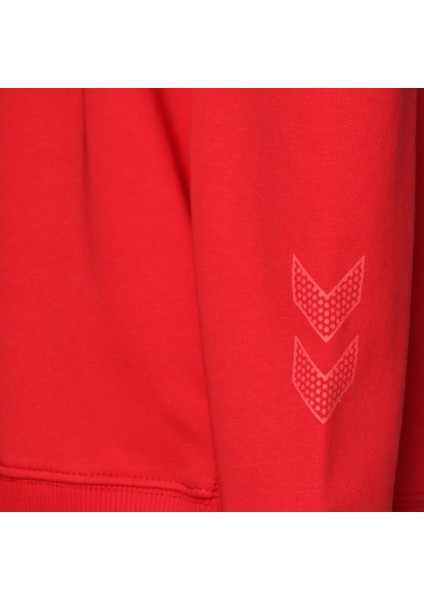 Carter Erkek Çocuk Kırmızı Bisiklet Yaka Sweatshirt fırsatları